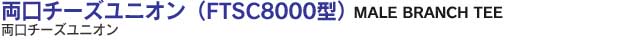 `[YjI FTSC8000^